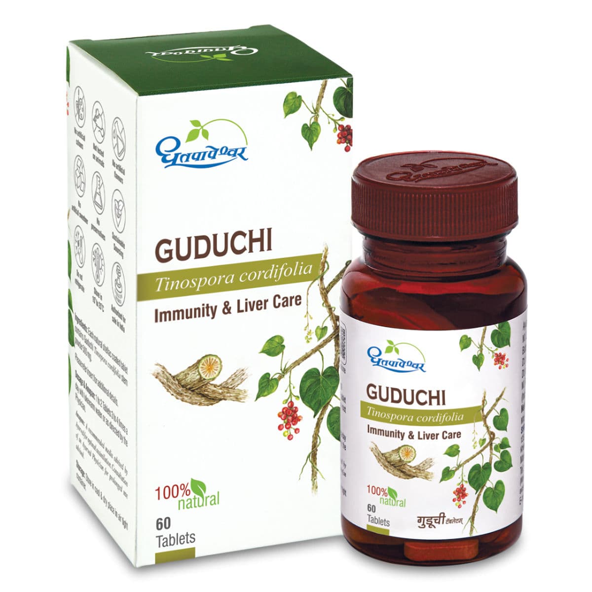 Guduchi (Dhootapapeshwar)