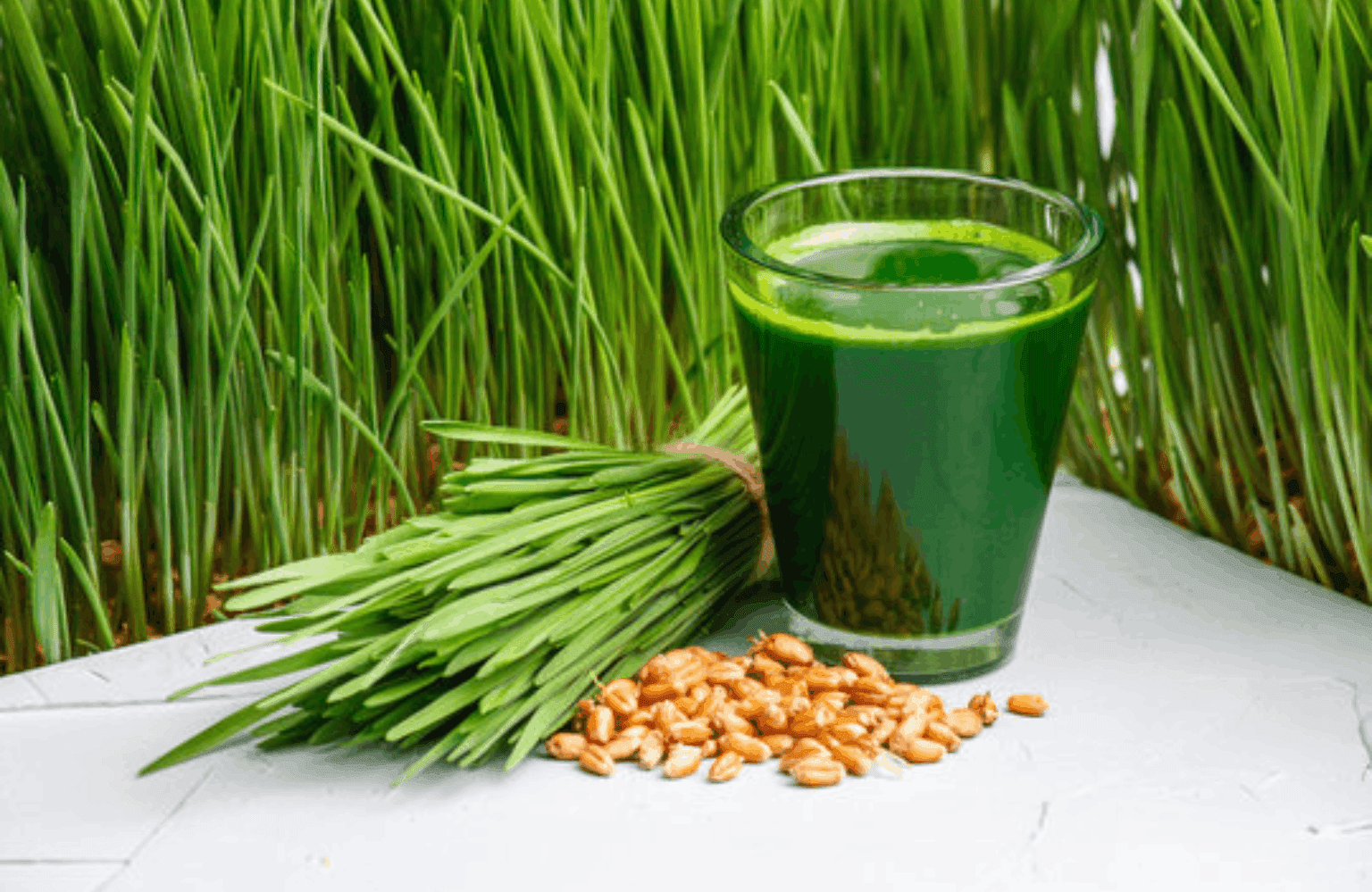 Wheatgrass Benefits and Uses