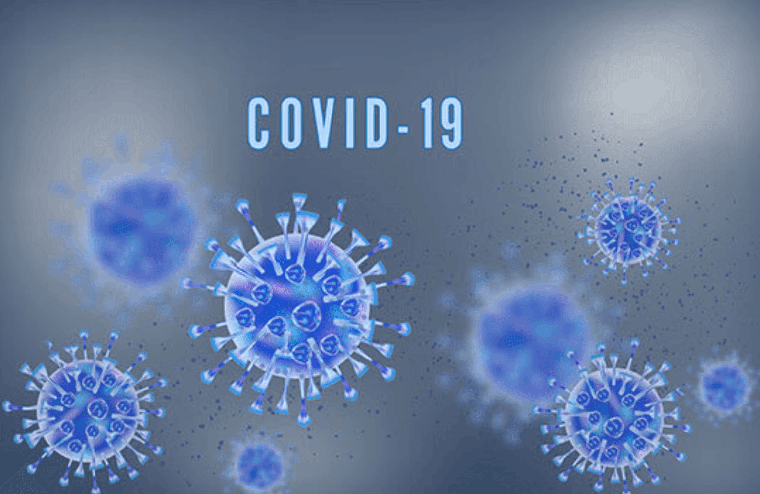 COVID-19 in Ayurveda