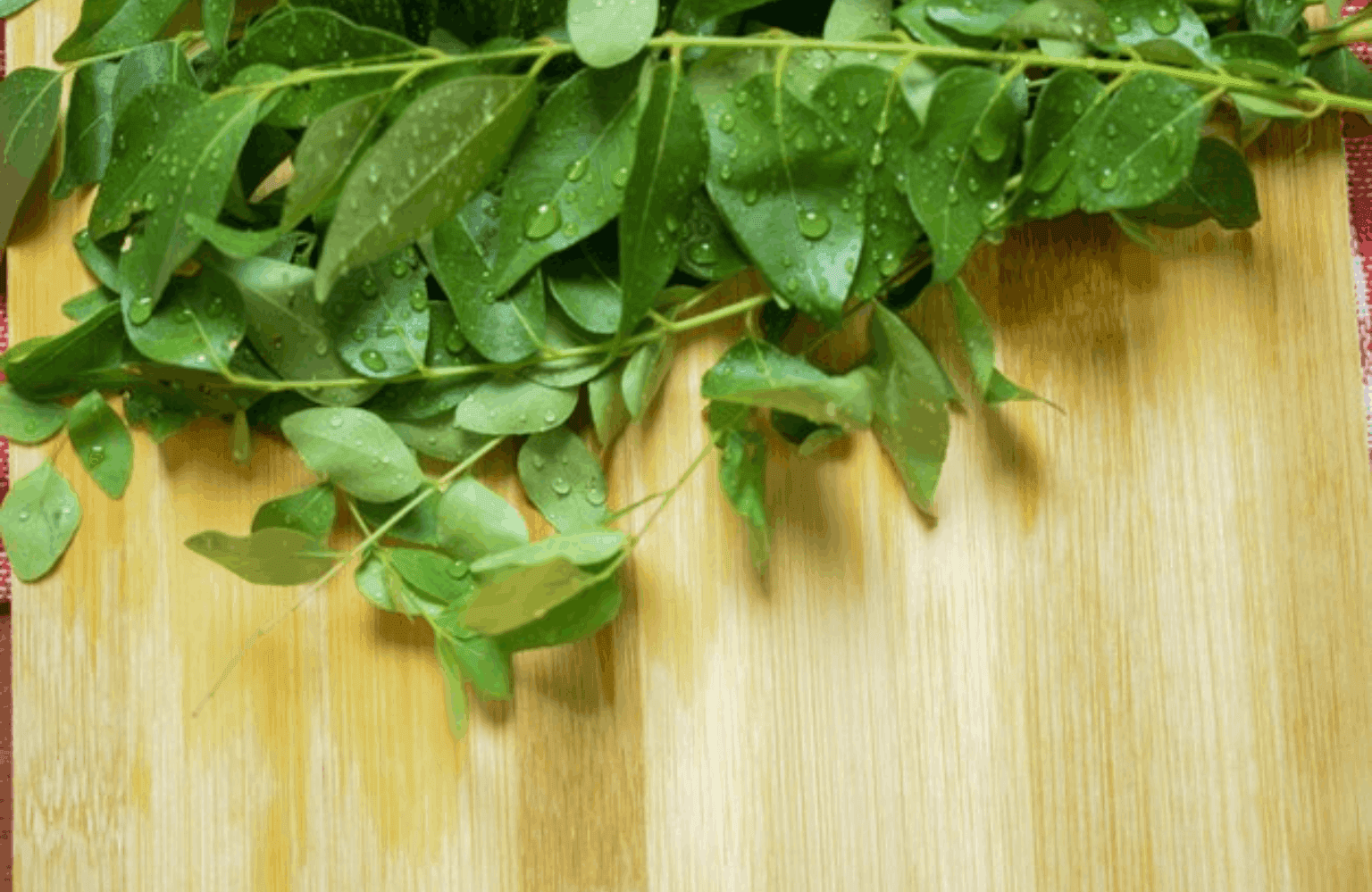 Curry Leaves Benefits and Uses