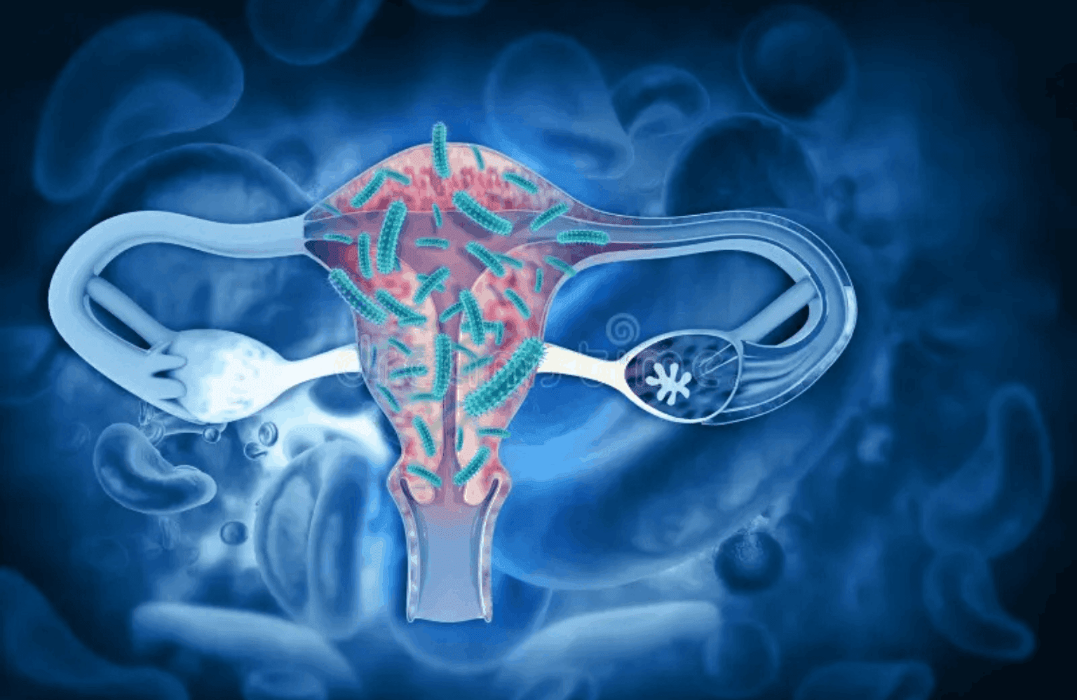 Vaginal Infection Causes and Symptoms