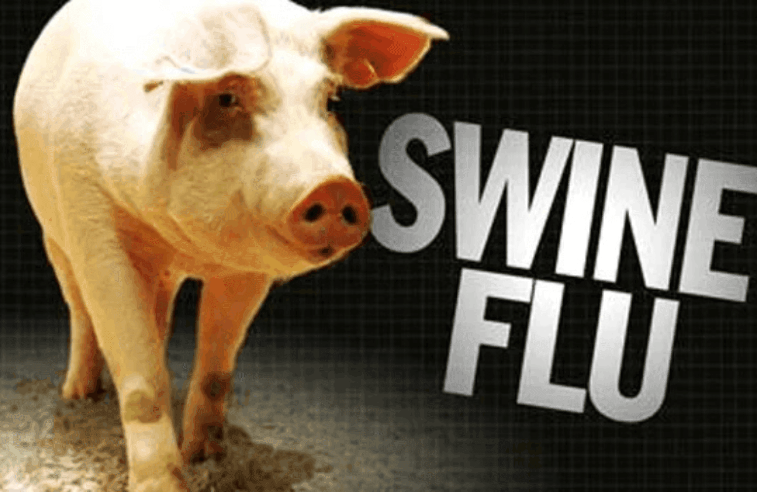 Swine flu Symptoms and Causes