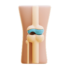 Bone, Joint & Pain