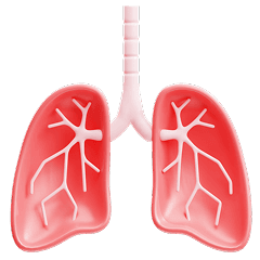 Breathing & ENT