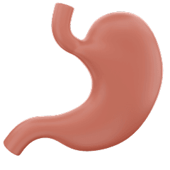 Digestive Problems