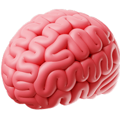 Mental Health & Brain