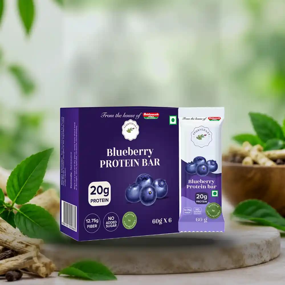 Ayurvedant Blueberry Protein Bar