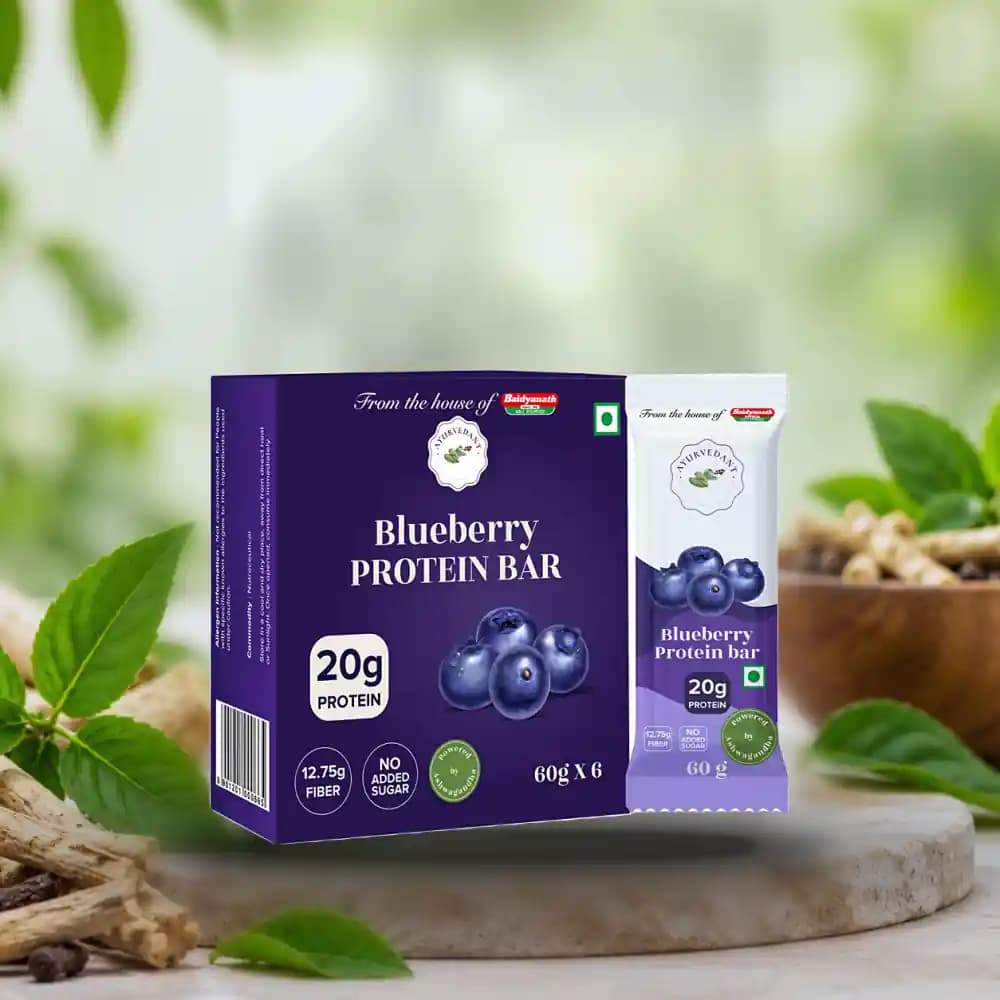 Ayurvedant Blueberry Protein Bars