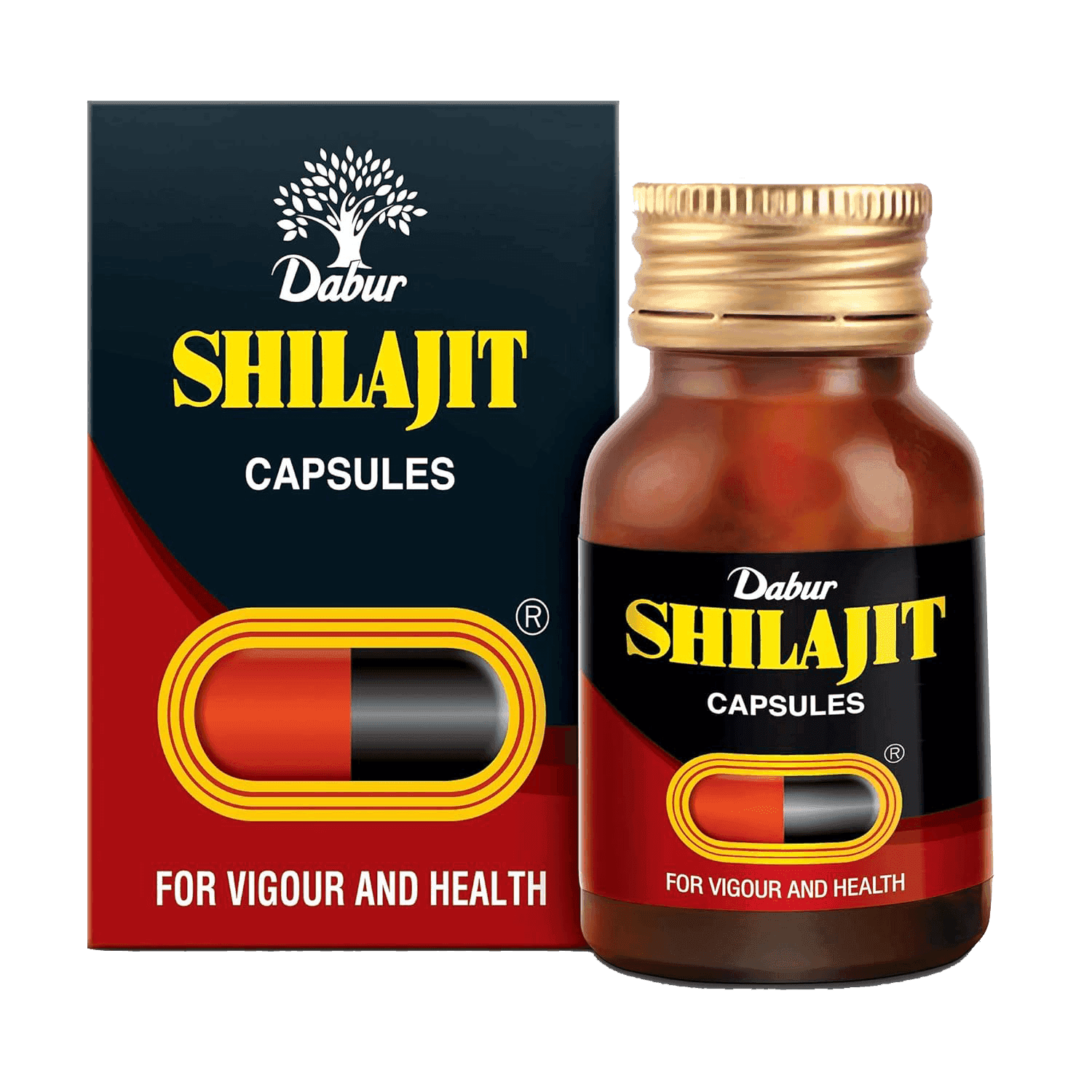 Dabur Shilajit Capsules
