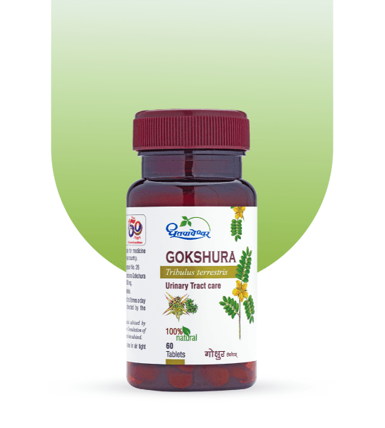 Gokshura (Dhootapapeshwar)