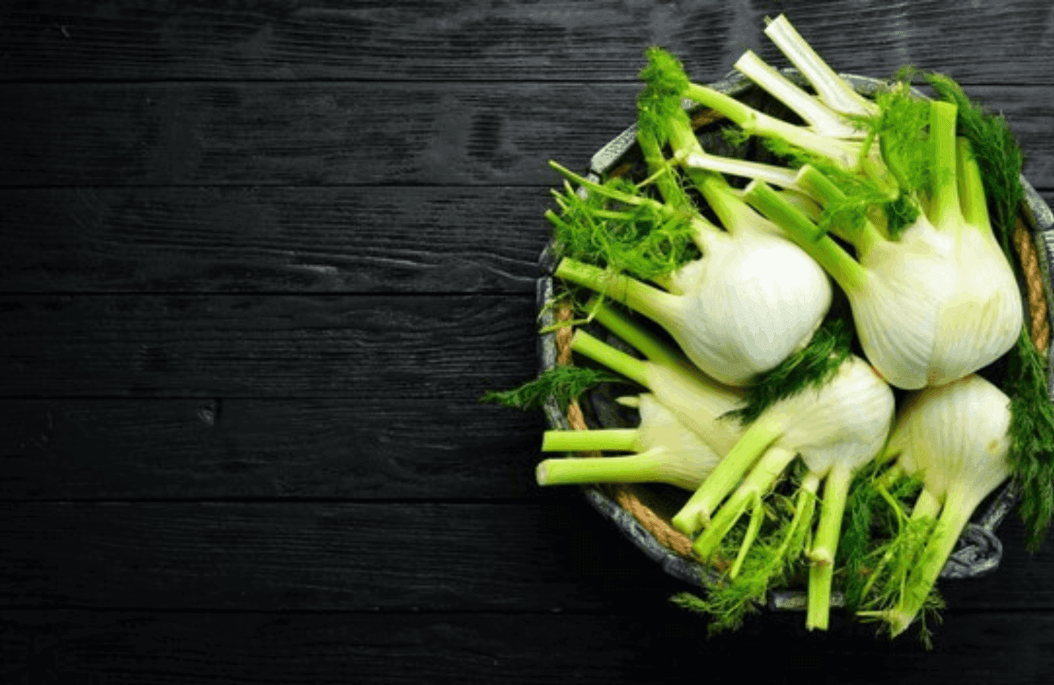 Fennel