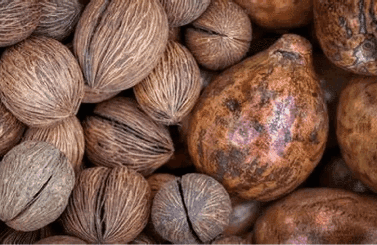 Nutmeg