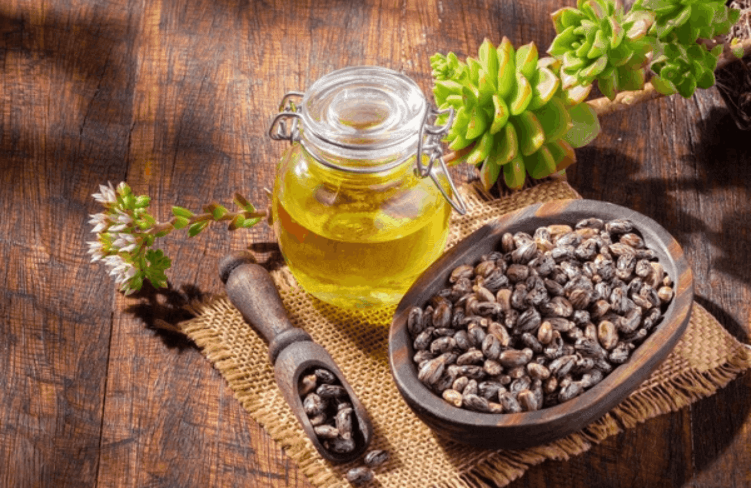 Castor Oil