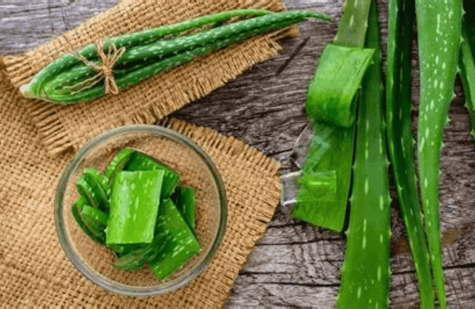 Aloe Vera