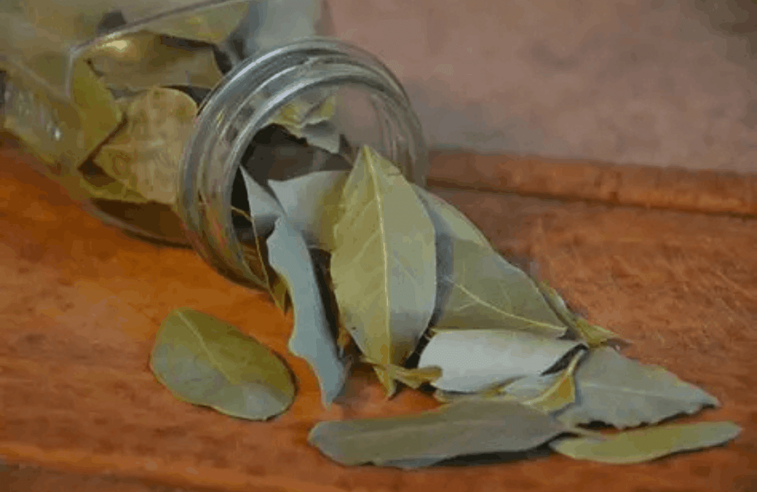 Bay Leaf Benefits and Uses